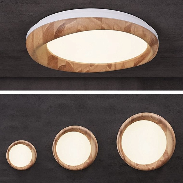 Потолочный светодиодный светильник Imperium Loft Runis 219475-26 Фото № 3