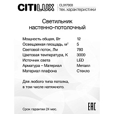 Настенный светильник Citilux Лайн CL918081 1