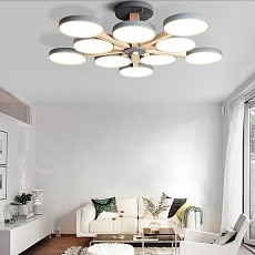 Потолочный светильник Imperium Loft TURNA-B01 228858-26 3