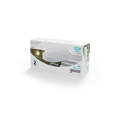 Уличный светодиодный светильник Gauss 161411212 3