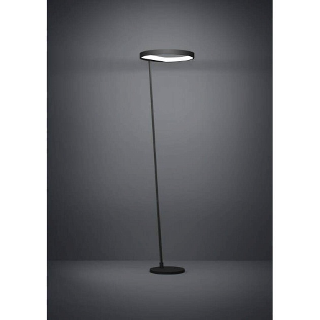 Торшер Eglo CAREDARA 390167 изображение 2 Торшер Eglo CAREDARA 390167 Фото № 2