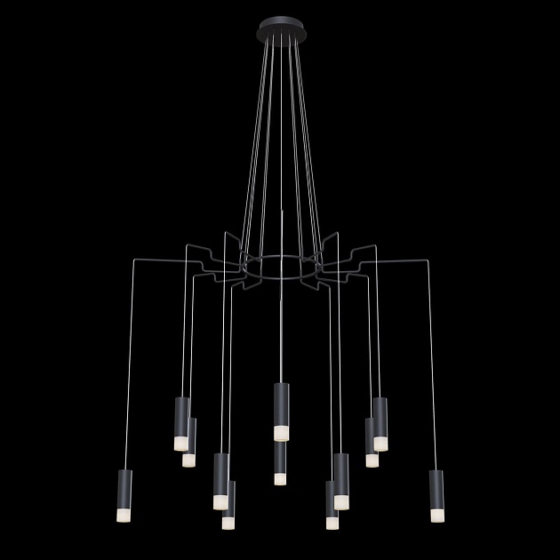 Подвесная люстра Maytoni Davida MOD035PL-12B Фото № 4