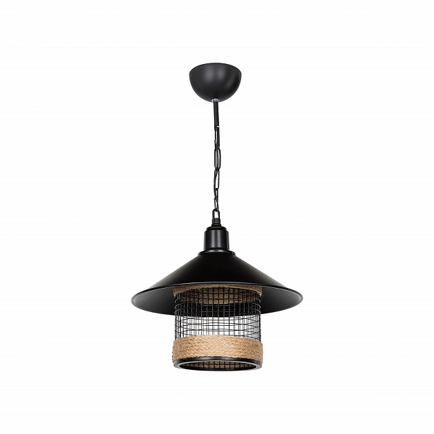 Подвесной светильник Toplight Bryana TL1644H-01BK изображение 1 Подвесной светильник Toplight Bryana TL1644H-01BK Фото № 1