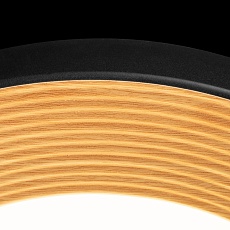 Потолочный светильник Loft IT Folk 10255/500 Black 2