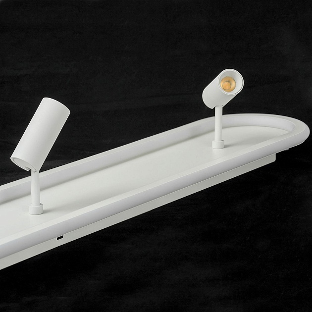 Светодиодный спот Lussole Harris LSP-7283 изображение 4 Светодиодный спот Lussole Harris LSP-7283 Фото № 4