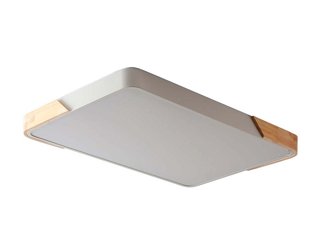 Потолочный светильник Zortes ALBERRO ZRS.01233.60 Фото № 7