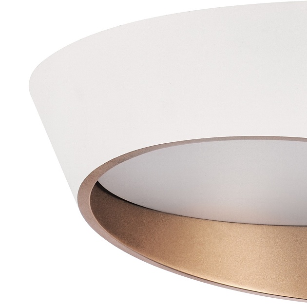 Потолочный светодиодный светильник Lightstar Celesta 809456 Фото № 2