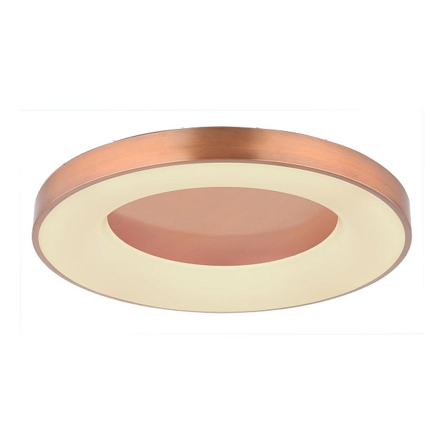 Потолочный светодиодный светильник Globo Jolli 41758-42C Фото № 1