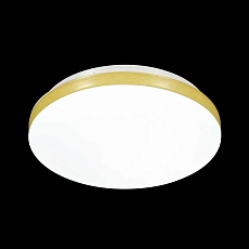 Настенно-потолочный светодиодный светильник Sonex Mini Smalli 3066/AL 2