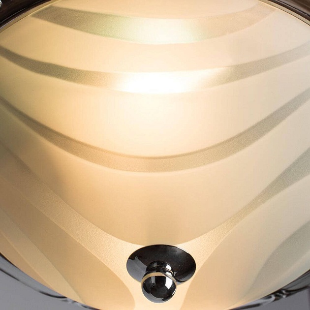 Потолочный светильник Arte Lamp 28 A3008PL-2CC Фото № 2
