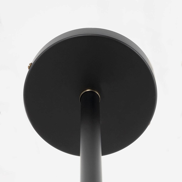 Потолочная люстра Citilux Планета CL105355 Фото № 10