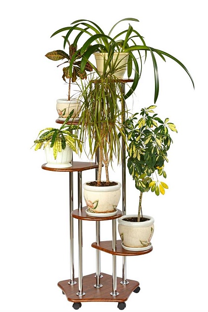 Подставка для цветов Мебелик Пятерочка 006652 изображение 4 Подставка для цветов Мебелик Пятерочка 006652 Фото № 4