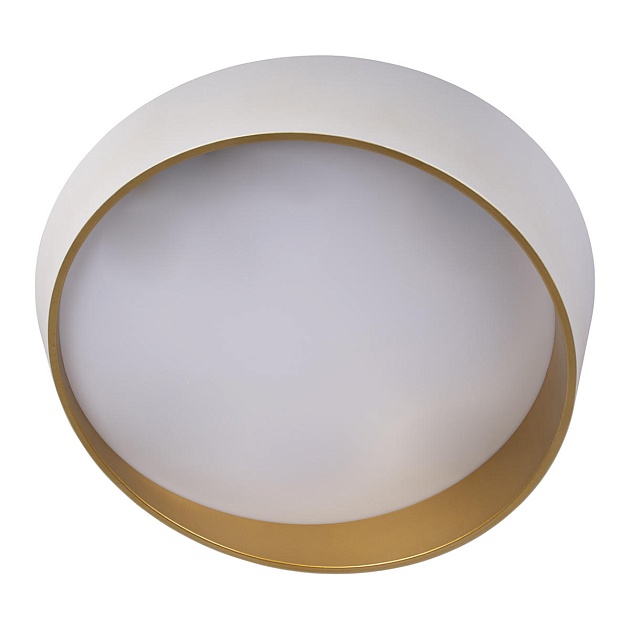 Потолочный светодиодный светильник Loft IT Coin 10199 White Фото № 3