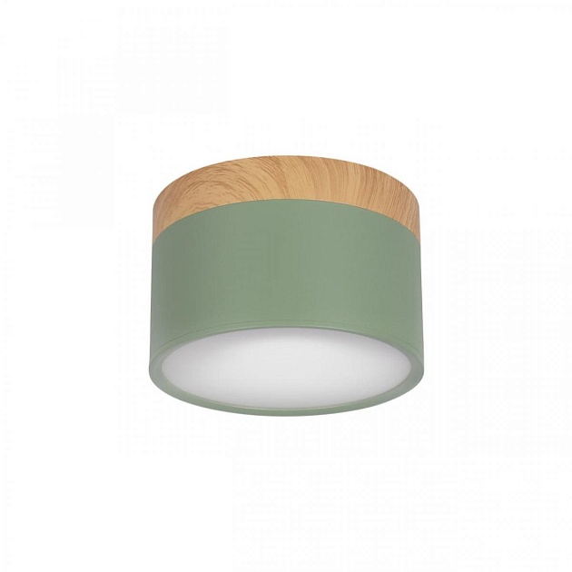 Накладной светодиодный светильник Loft IT Grape 10162 Green Фото № 1