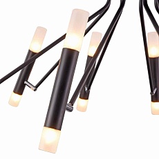 Потолочная люстра Maytoni Vigo MOD620CL-16B 4