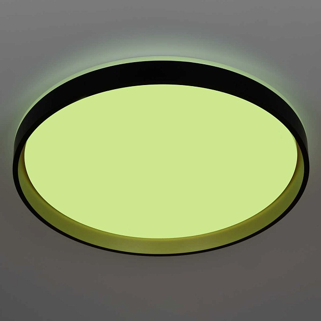 Светильник потолочный Citilux ENZO CL753511G Фото № 11