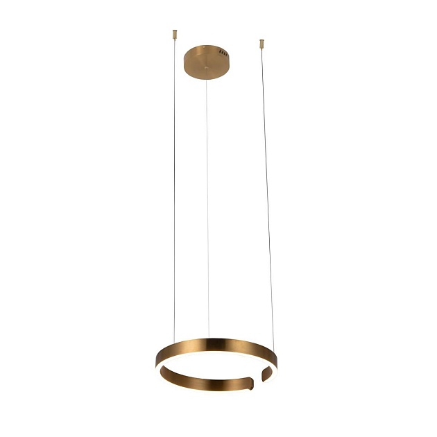 Подвесной светодиодный светильник Loft IT Ring 10013S Фото № 1
