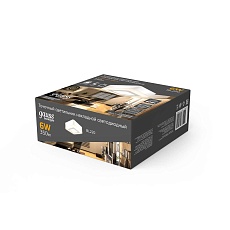 Потолочный светодиодный светильник Gauss Backlight BL220 1