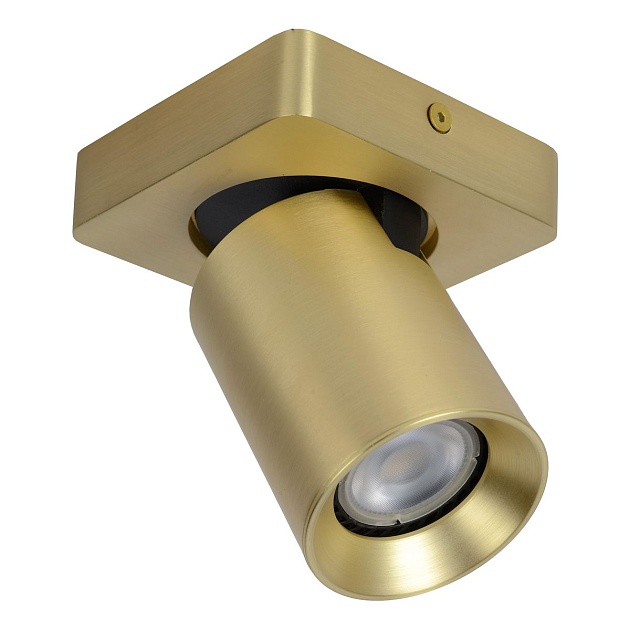 Спот Lucide Nigel 09929/05/02 Фото № 1