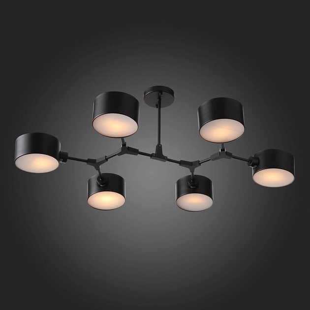 Потолочная люстра Evoluce Gimento SLE183402-06 Фото № 4