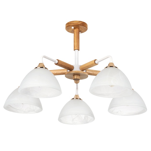 Потолочная люстра Arte Lamp Matthew A5032PL-5BR Фото № 1