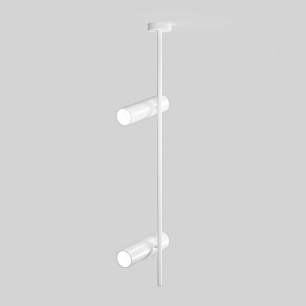 Потолочный светильник Maytoni Elti C021CL-02W Фото № 4