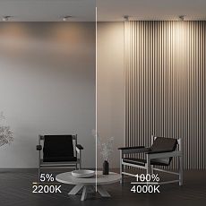 Встраиваемый светодиодный спот Maytoni Technical Onda DL024-12W-DTW-W 1