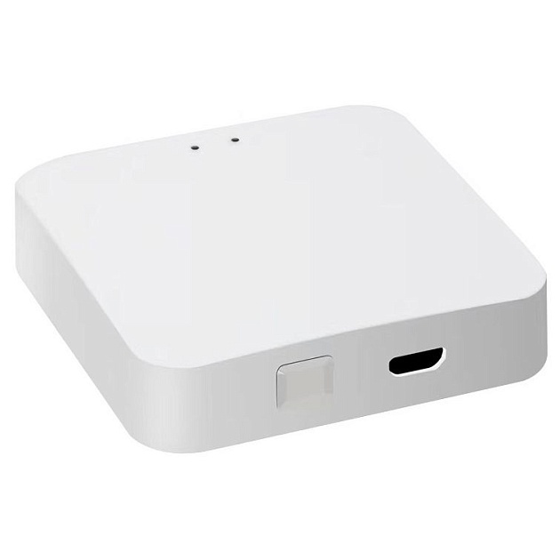 Беспроводной шлюз ДУ iLedex Technical Vision ZGB 1 Фото № 1