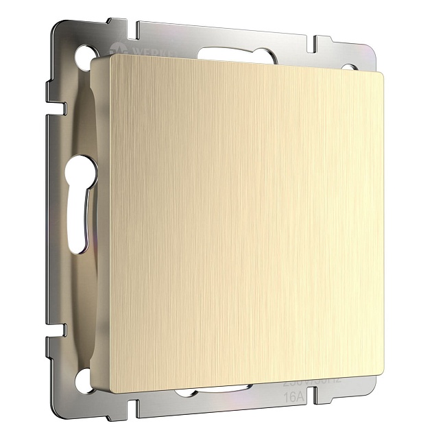 Заглушка Werkel шампань рифленый W1159210 4690389160301 Фото № 1