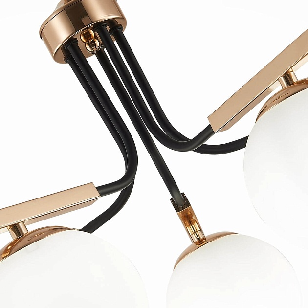 Подвесная люстра Evoluce Sonco SLE106803-05 изображение 3 Подвесная люстра Evoluce Sonco SLE106803-05 Фото № 3