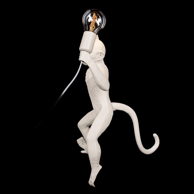 Настенный светильник Loft IT Monkey 10314W/B Фото № 4