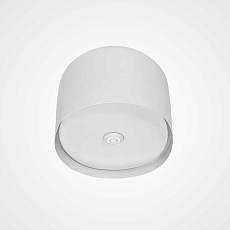 Потолочный светильник Imperium Loft Cylinder 101495-26