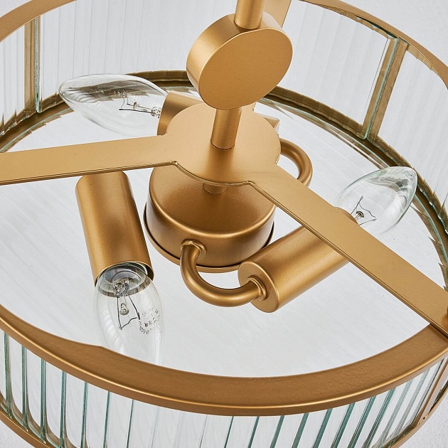 Подвесная люстра Favourite Radiales 3099-3P Фото № 7