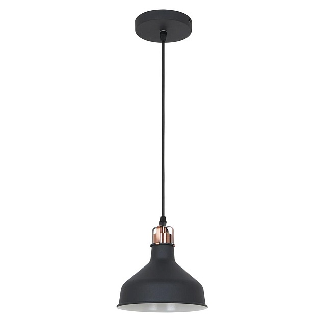 Подвесной светильник Camelion PL-425S C62 13023 Фото № 1