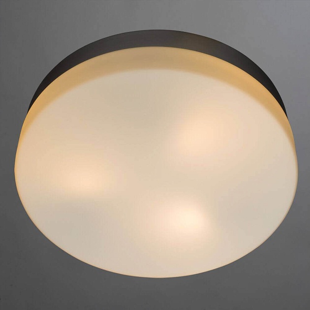 Потолочный светильник Arte Lamp Shirp A3211PL-3SI Фото № 2