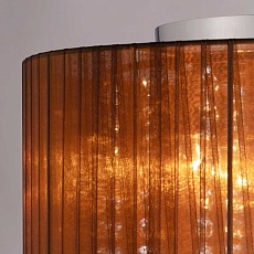 Потолочная люстра MW-Light Жаклин 465017006 1