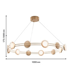 Подвесная светодиодная люстра Favourite Yo-yo 4334-12P 1
