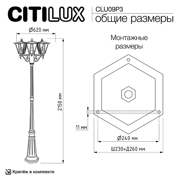 Садово-парковый светильник Citilux Forts CLU09P3 изображение 3 Садово-парковый светильник Citilux Forts CLU09P3 Фото № 3