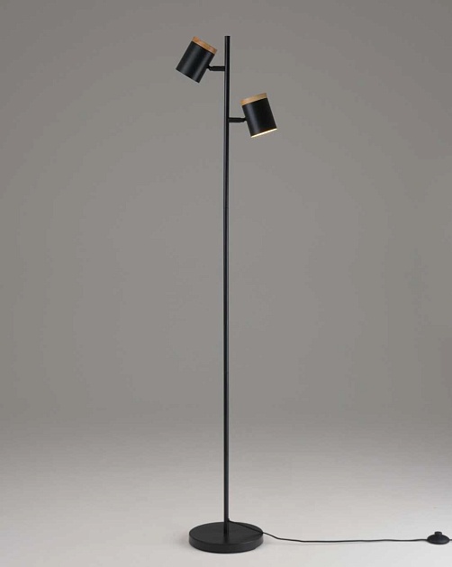 Торшер Moderli Asheswood V11287-2F Фото № 2