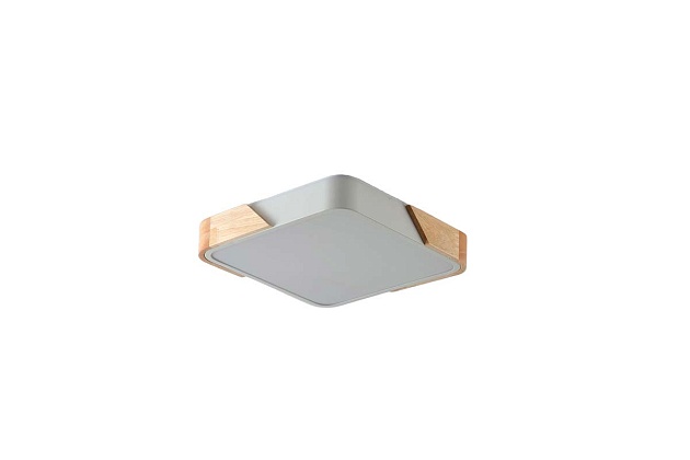 Потолочный светильник Zortes ALBERRO ZRS.01285.36 изображение 2 Потолочный светильник Zortes ALBERRO ZRS.01285.36 Фото № 2