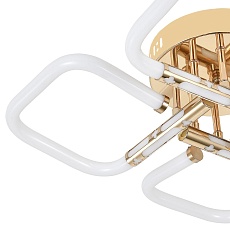 Потолочный светодиодный светильник Escada Lacerta 10265/4LED 1