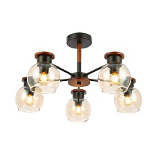 Потолочная люстра Evoluce Rasco SLE108102-05 4