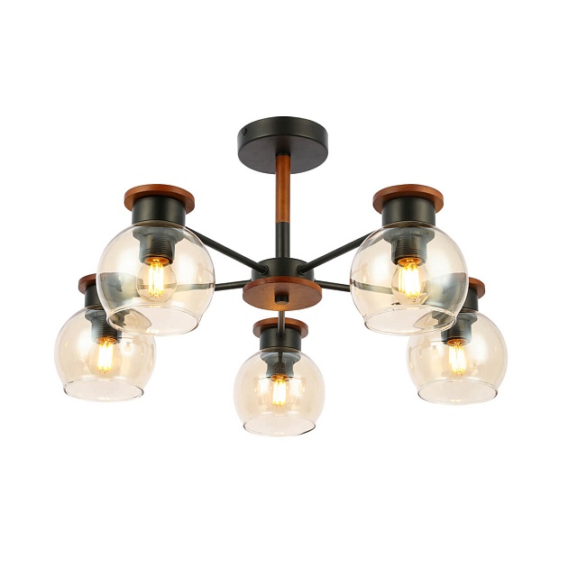 Потолочная люстра Evoluce Rasco SLE108102-05 изображение 5 Потолочная люстра Evoluce Rasco SLE108102-05 Фото № 5