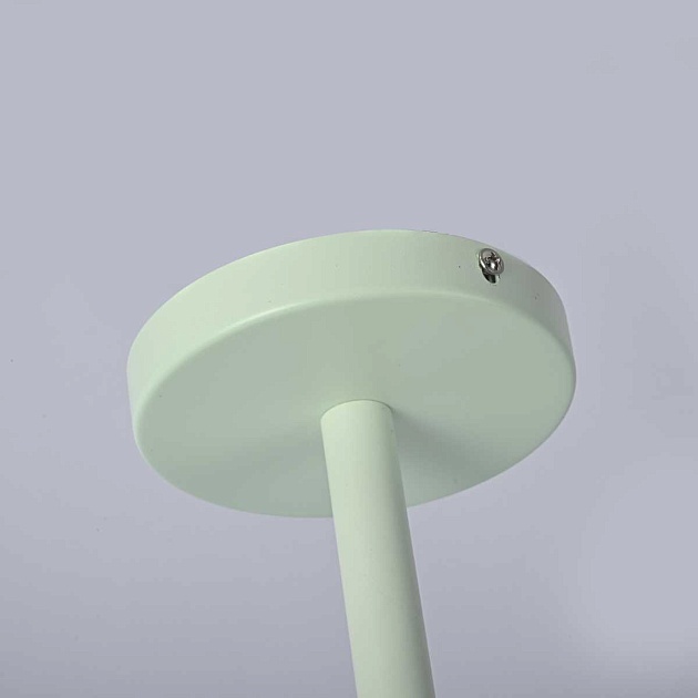 Подвесная люстра Imperium Loft Natura 177992-26 Фото № 4