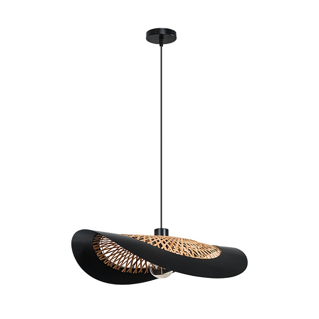 Подвесной светильник Arte Lamp WOODSTOCK A7059SP-1BK Фото № 1