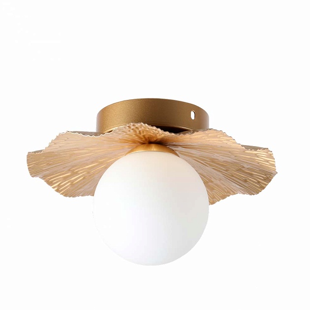 Потолочный светильник ЭкономСвет 51635/1COP WT изображение 1 Потолочный светильник ЭкономСвет 51635/1COP WT Фото № 1