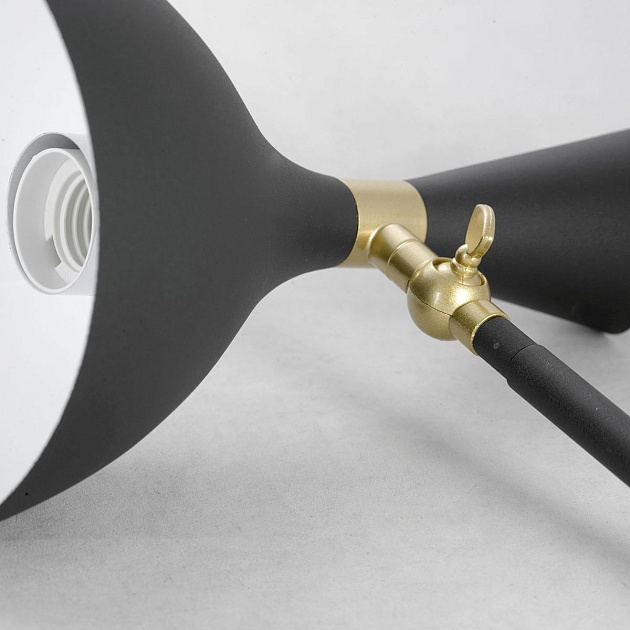 Торшер Lussole Lgo LSP-0626 Фото № 5