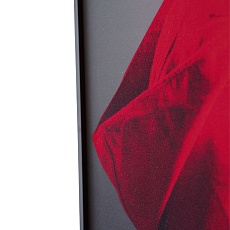 Картина Lumina Deco FP Red Hat 80-120 4