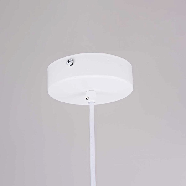 Подвесной светильник Imperium Loft Sota 178020-26 Фото № 11