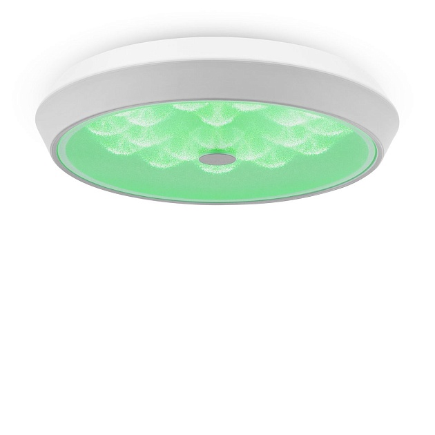 Потолочный светодиодный светильник Freya Cells FR10012CL-L24W Фото № 10